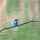 행복한일상 이미지