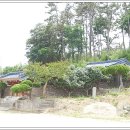 모충사慕忠祠 이미지