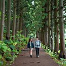 한라산둘레길안내센터 | 한라산둘레길 안내센터 (전용센터, 탐방코스, 중산간)