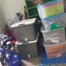 서울태권도장 이미지