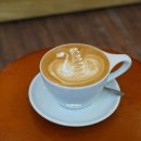 비바라떼 이미지