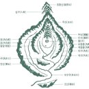 양택풍수 인테리어 | 풍수지리의 의미와 현대적 활용