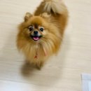 앙꼬네 미용실 이미지