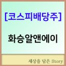 (주)화승알앤에이 이미지