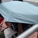 알밤인력 | 전주 여행 찍고 대전한화생명볼파크 직관한 후기 (25.08.17)