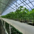 승복농장 이미지