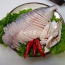 섬진강자연재첩수산