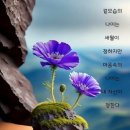 신안드론아카데미