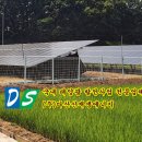 한동태양광발전소 이미지