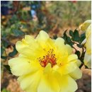 제우스PC 방 | 보조모니터 추천 휴대용 27인치 간편 티비 솔직후기