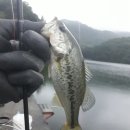 왕숙천 자전거도로12 이미지