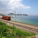 무릉계곡 5호 이미지