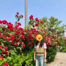 세븐일레븐 홍대6번출구점 이미지