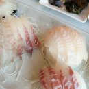 선창인테리어