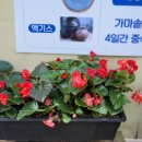 땡이농장 네이버블로그
