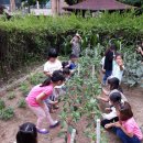 좋은어린이집 이미지