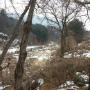 가평군농협상면지점 이미지