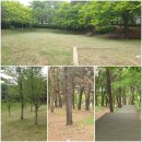 문화근린공원 배드민턴장