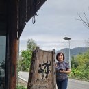 PANG 귤 농장 방문기 이미지