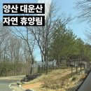 대운산자연휴양림 | 양산 대운산 자연휴양림 /아이들과가기좋은/카라반캠핑/1박2일