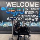 센스 | 제주도 강아지 비행기 가방 케이지 추천 식스센스 캐리백 후기