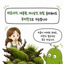 레어모스 네이버블로그