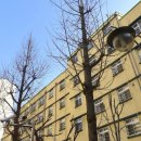 구지초등학교(병설) 이미지