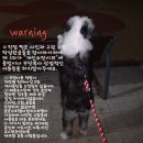 성수 에스팩토리 D동 웁서울 2024 &#34;비주얼 아트 페스티벌&#34; 귀귀 부스 방문후기