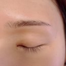 화정왁싱 : 투미쓰왁싱 / 아이브로우바 눈썹 왁싱