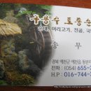 예천권병원 - 4351 | 예천권병원