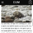 이음수선 이미지