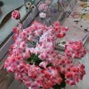 아이-정원 이미지