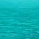 대구가톨릭대학교 예술대학원 이미지