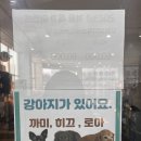 타이어스토리 진접점 | 타이어스토리 바이깜 남양주타이어, 속시원한 엔진오일 교체 리얼 후기