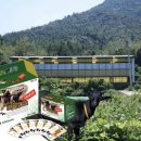 명성흑염소농장 이미지