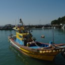 리언파크 이미지