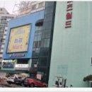 영남스포츠 월드 이미지