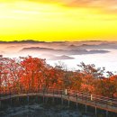 힐링카정비 이미지