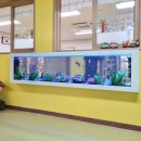 전주양현초등학교 이미지