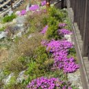 (주)혜경 이미지