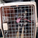 성남네거리 이미지