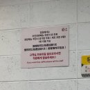 [명동 중식당] 완탕 맛집 딤딩완탕 방문 후기