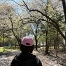 해피한 안경 이미지