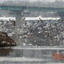 윤성호농장 이미지