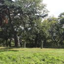 월성동서 이미지