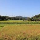산성옥