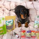 (주) 주베베 이미지