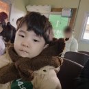 김포 아이와 가볼만한곳 연보람목장 예약 Tip