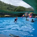 펜션곶감가든 | 완주 계곡에서 느끼는 시원함[곶감펜션]