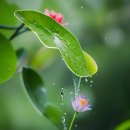 밥풀 - 동구 동대전로131번길 8-7 | 밥풀